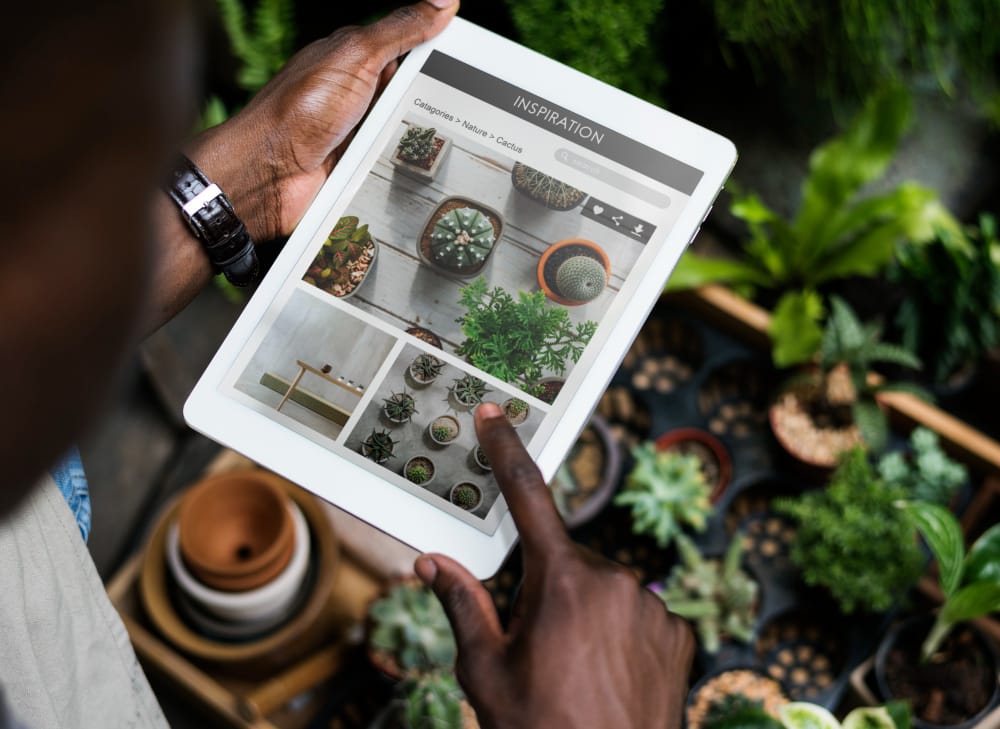 eco-friendly hosting