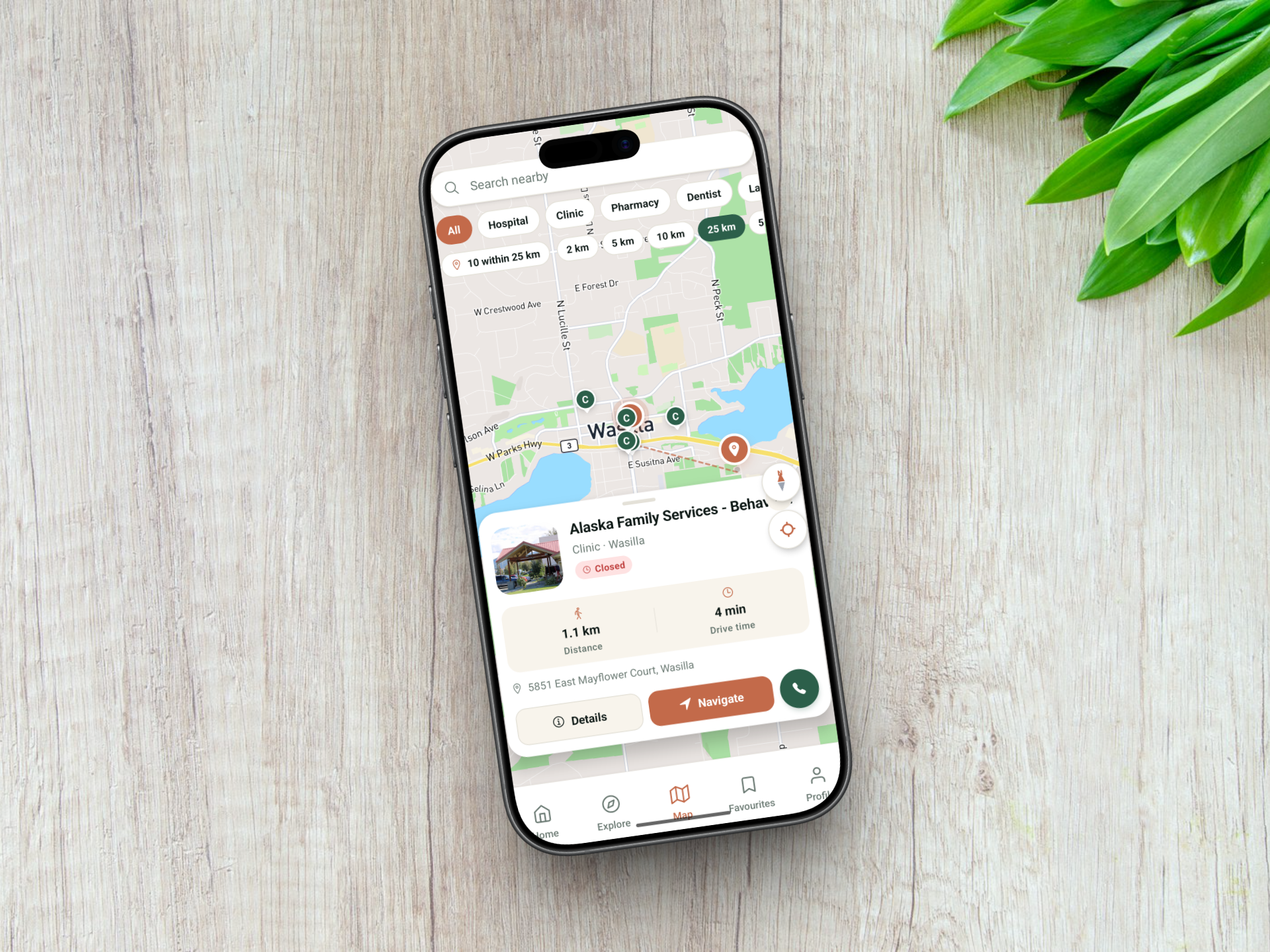 healthcare app development